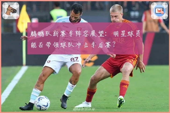 鹈鹕队新赛季阵容展望：明星球员能否带领球队冲击季后赛？