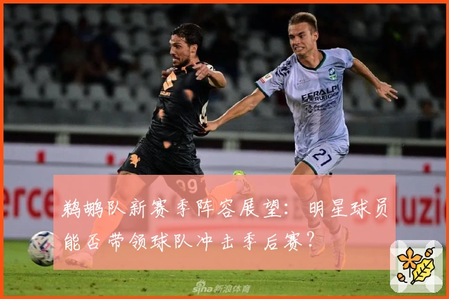 鹈鹕队新赛季阵容展望：明星球员能否带领球队冲击季后赛？